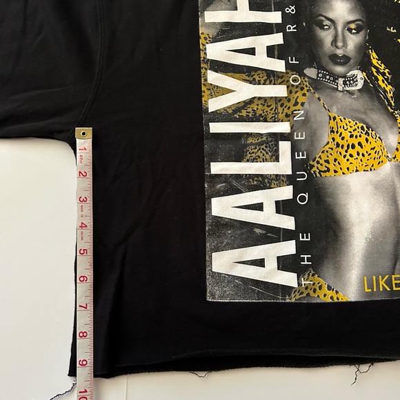 Aaliyah Hot like Fire Long Sleeve Semi Cropped Hooded Cotton Blend Sweater M - Picture 8 of 9